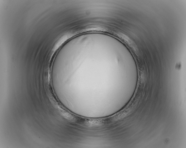 X0000091591274200709051114