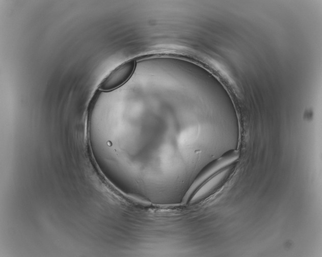 X0000091591275200709051114