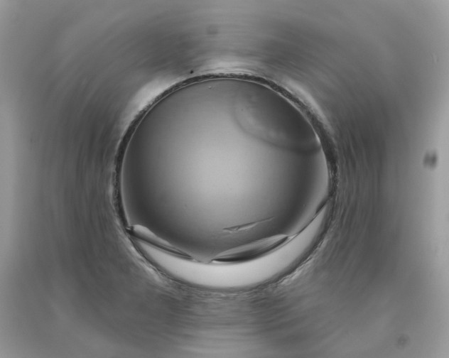 X0000091591277200709051114