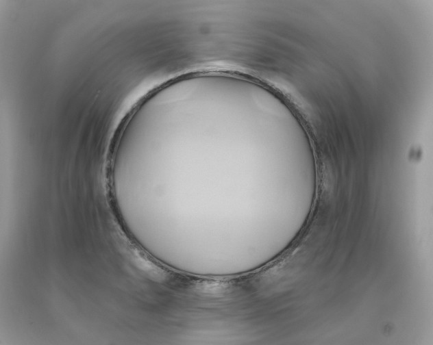 X0000091591278200709051114