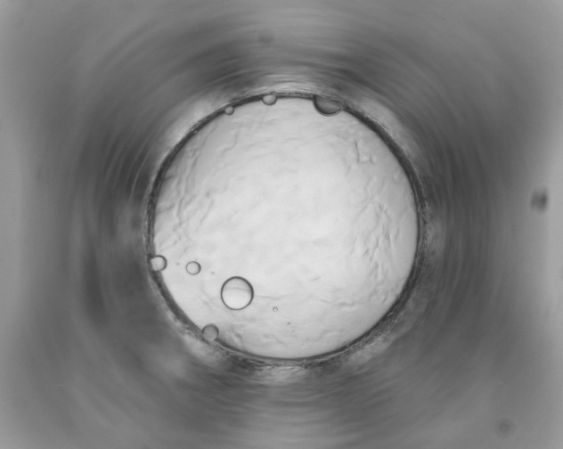 X0000091591282200709051114