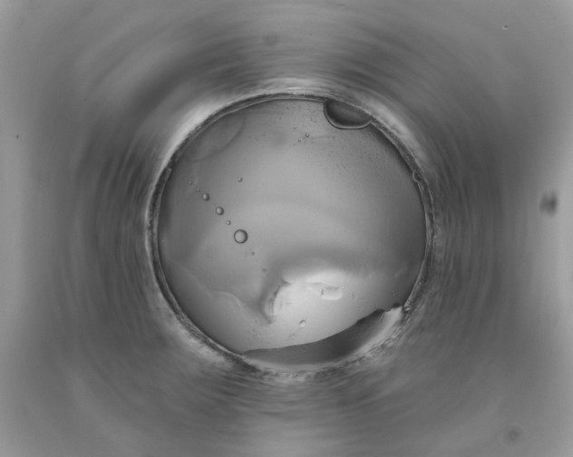 X0000091591283200709051114