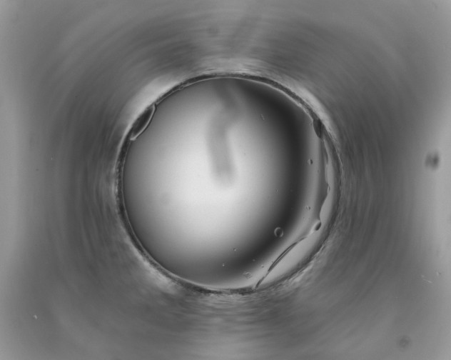 X0000091591285200709051114