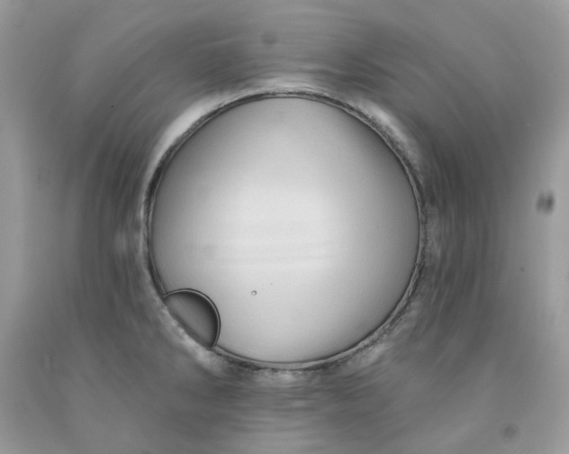X0000091591286200709051114