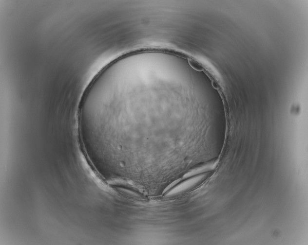 X0000091591287200709051114
