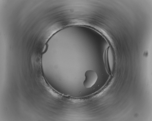 X0000091591289200709051114