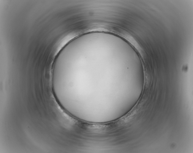X0000091591290200709051114