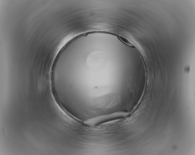 X0000091591291200709051114