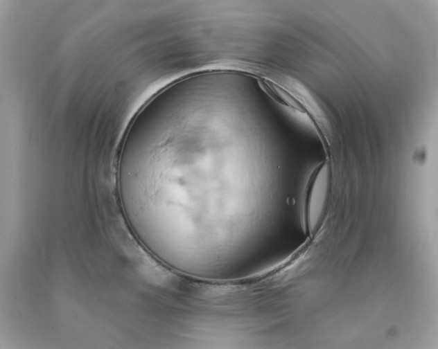 X0000091591292200709051114