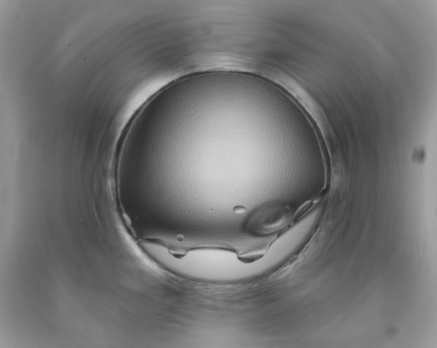 X0000091591293200709051114