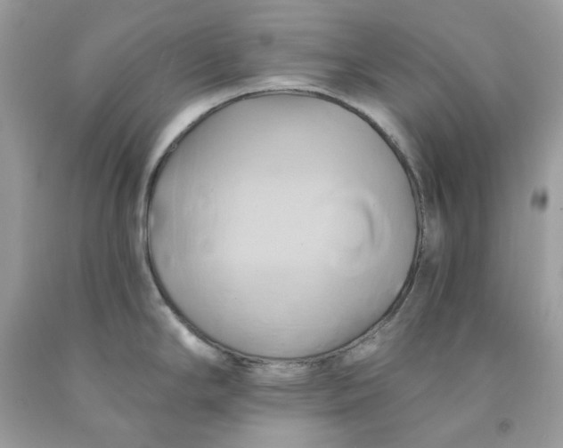 X0000091591294200709051114