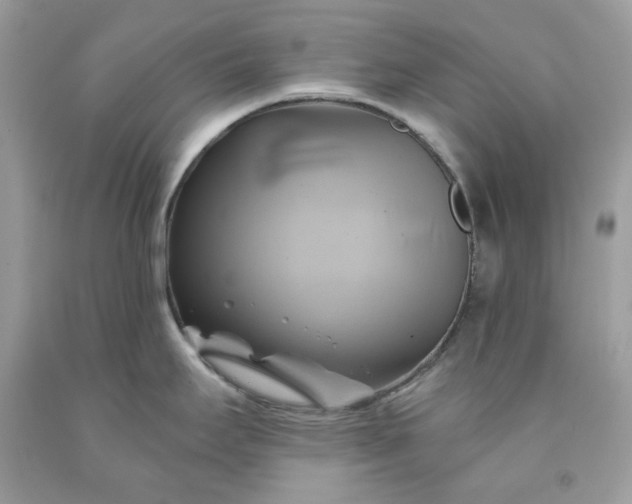 X0000091591295200709051114