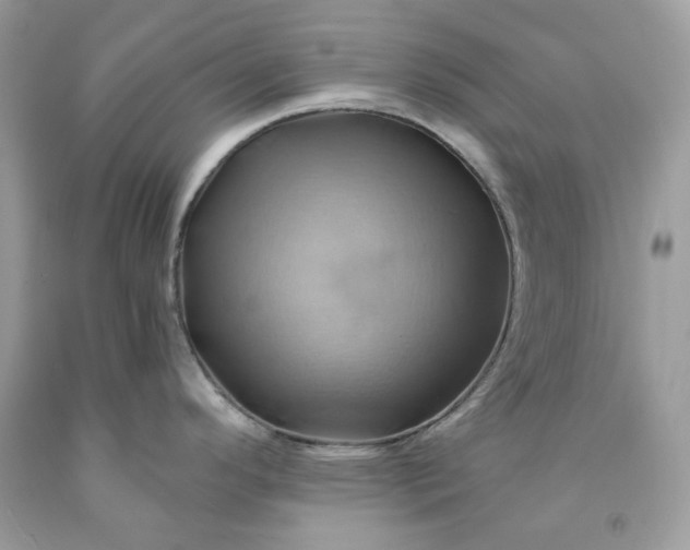 X0000091591296200709051114