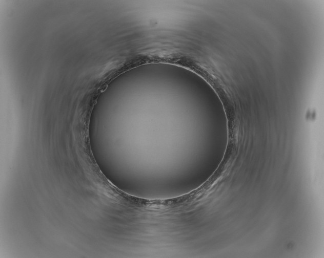 X0000091591297200709051113