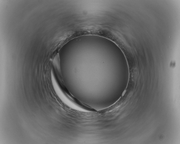 X0000091591298200709051113