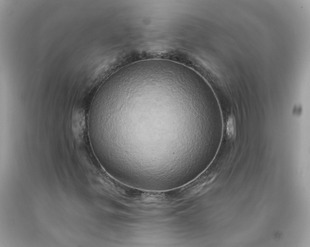 X0000091591299200709051113