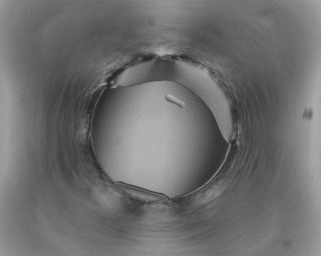 X0000091591300200709051113