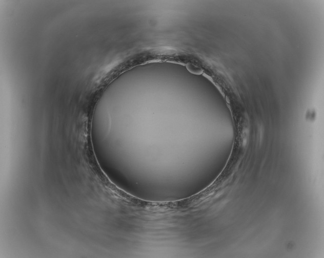 X0000091591301200709051113
