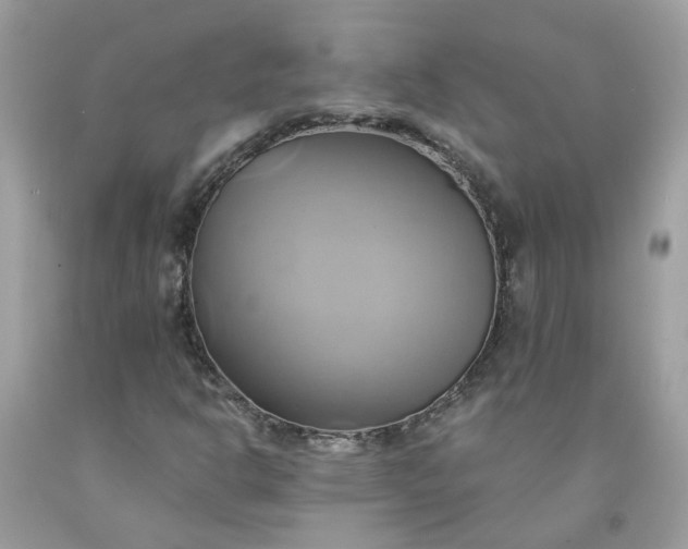 X0000091591302200709051113