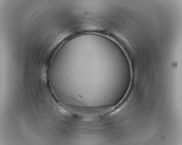 X0000091591305200709051113