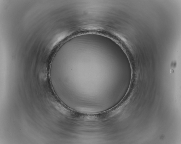 X0000091591306200709051113
