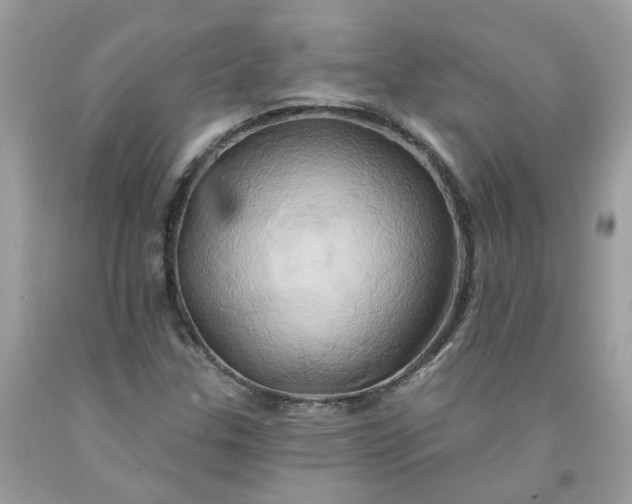 X0000091591307200709051113