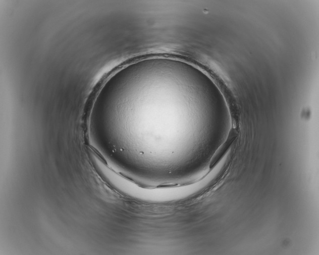 X0000091591308200709051113