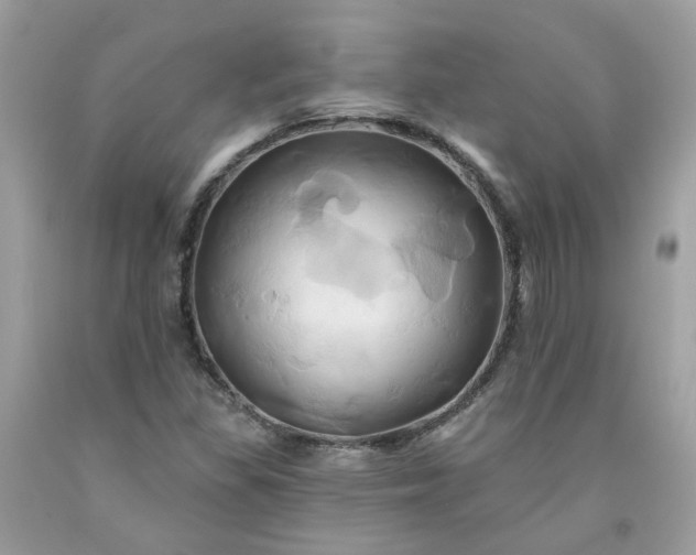 X0000091591309200709051113