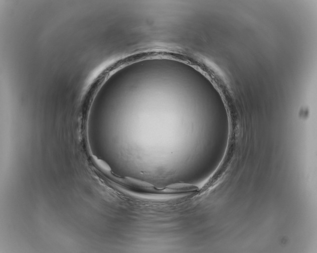X0000091591310200709051113