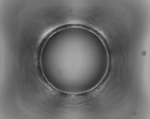 X0000091591311200709051113