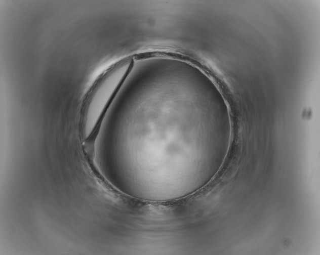 X0000091591312200709051113