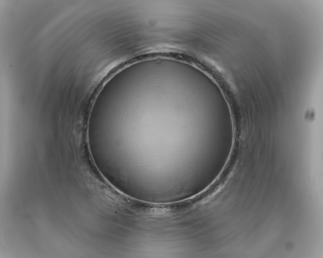 X0000091591313200709051113