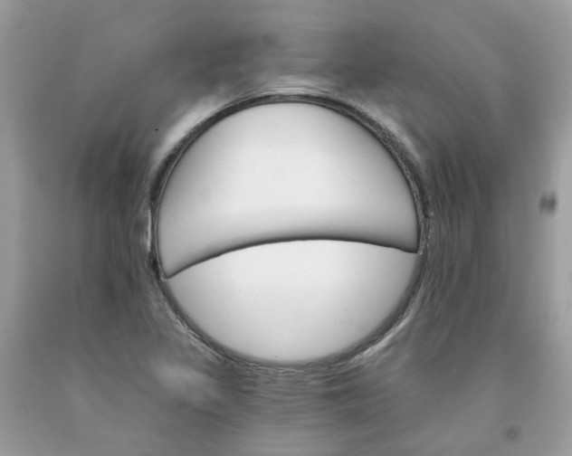 X0000091591317200709051113