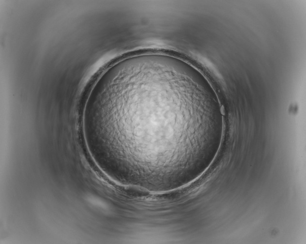 X0000091591318200709051113