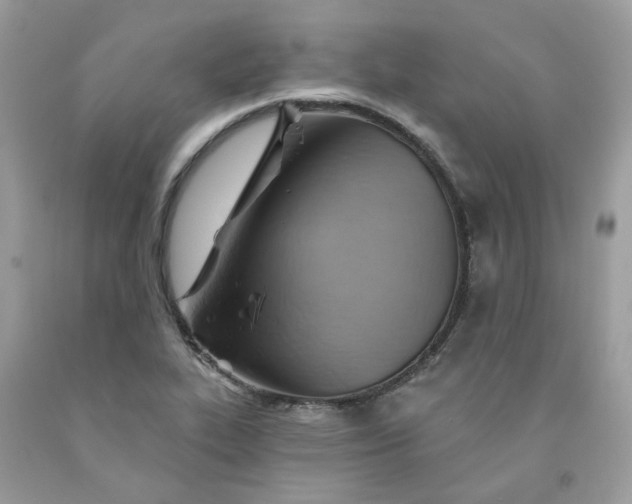 X0000091591319200709051113