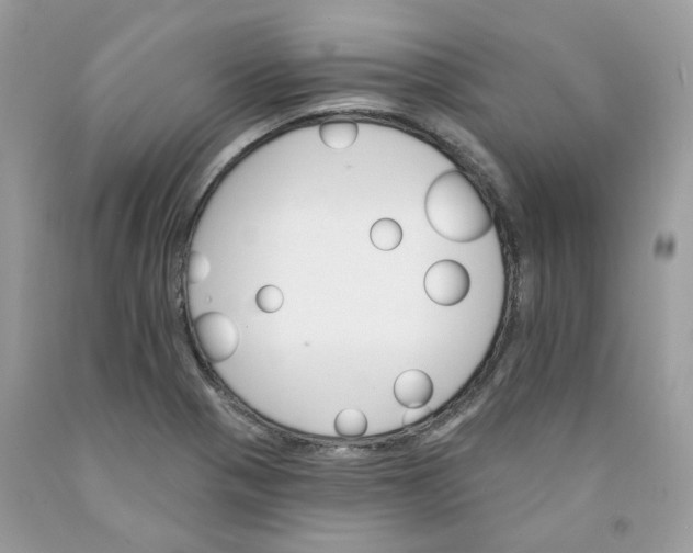 X0000091591321200709051113