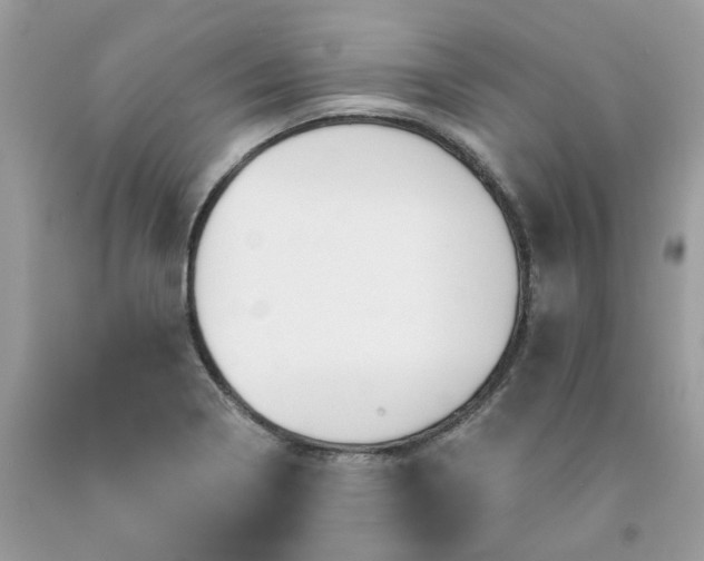 X0000091591322200709051113
