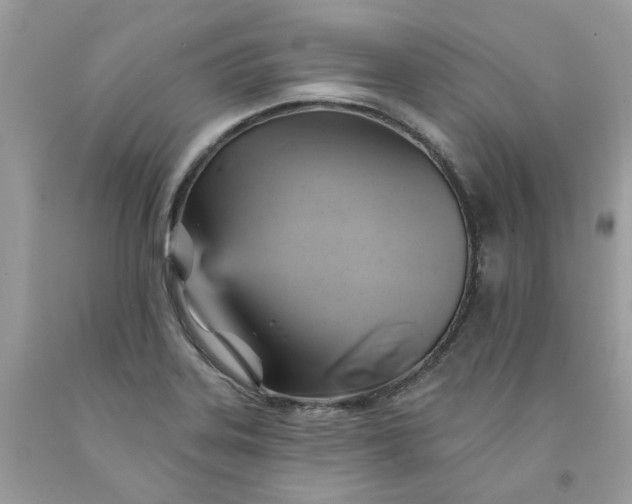 X0000091591323200709051113