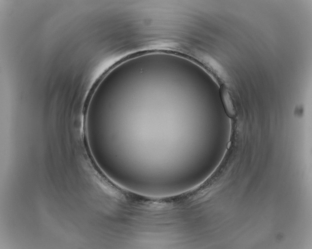 X0000091591324200709051113