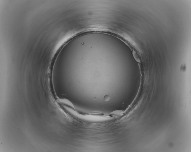 X0000091591325200709051113