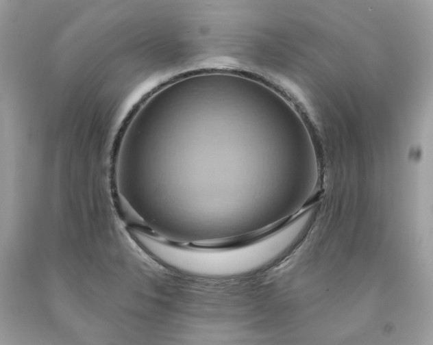X0000091591326200709051113