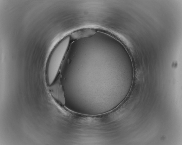 X0000091591327200709051113
