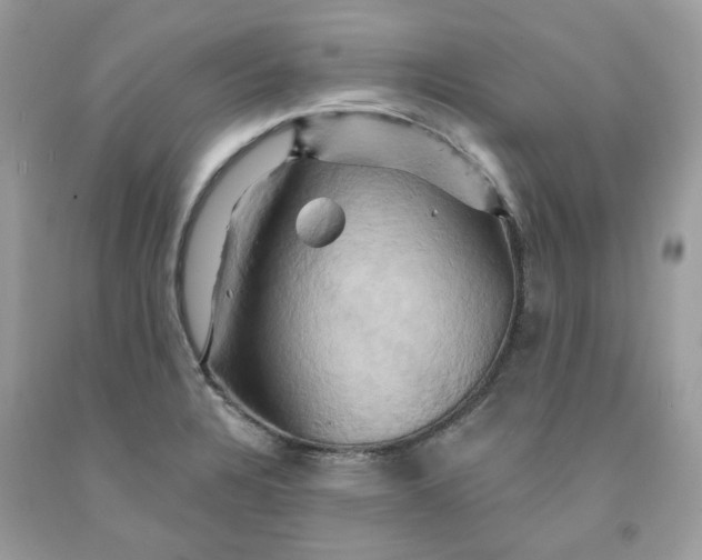 X0000091591328200709051113