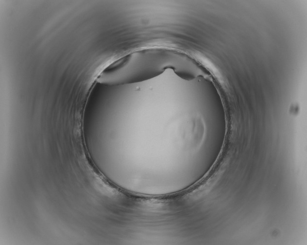 X0000091591329200709051113
