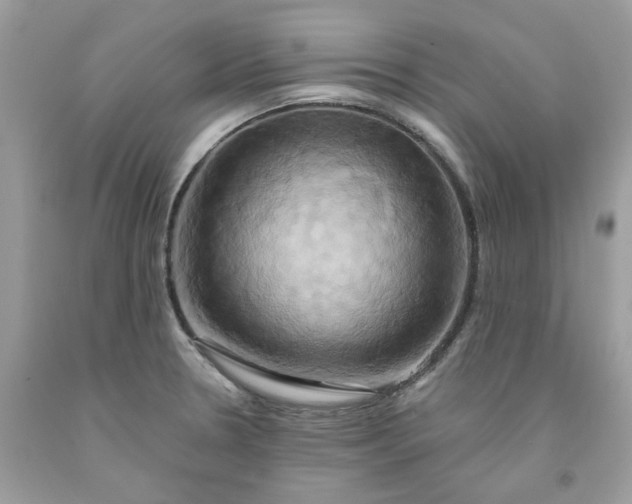 X0000091591330200709051114