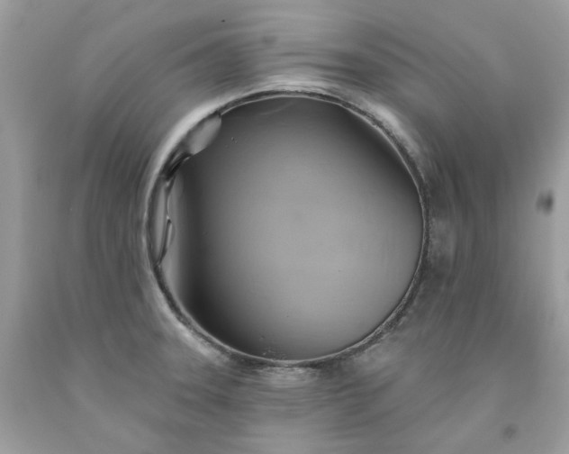 X0000091591331200709051114