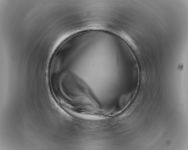 X0000091591334200709051114