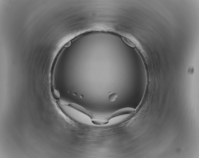 X0000091591335200709051114