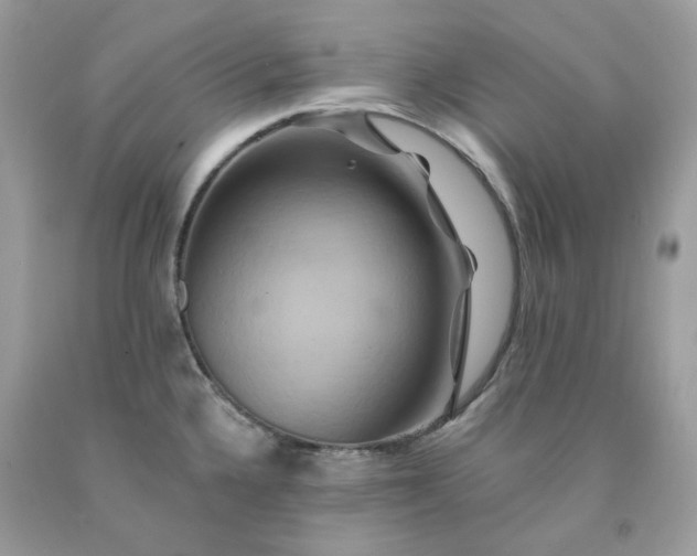 X0000091591336200709051114