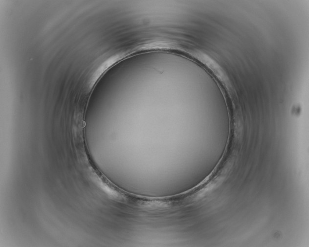 X0000091591337200709051114